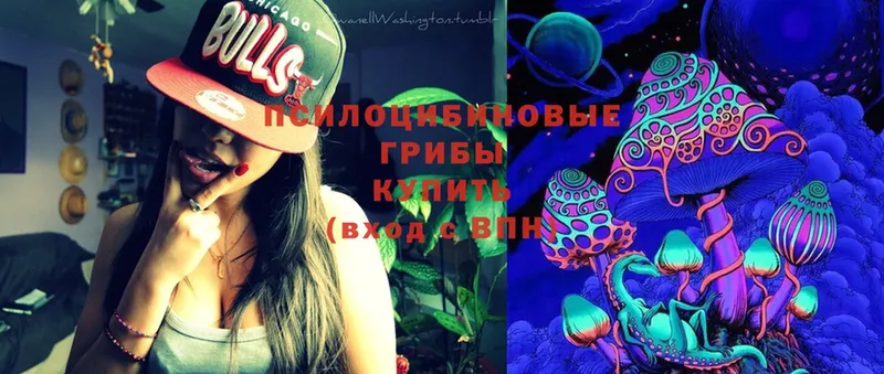 Псилоцибиновые грибы Cubensis  купить   Димитровград 