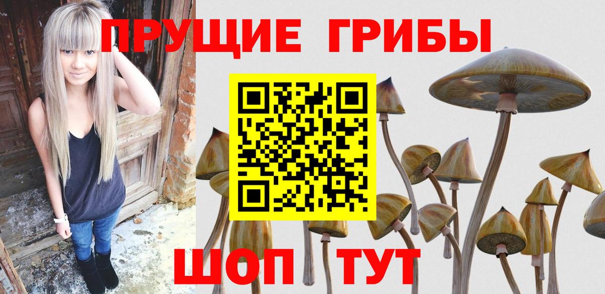 Галлюциногенные грибы мухоморы  Вход с VPN  Димитровград 