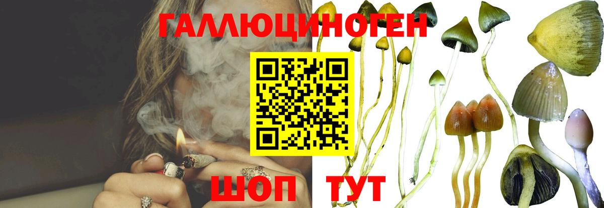 Псилоцибиновые грибы GOLDEN TEACHER Димитровград