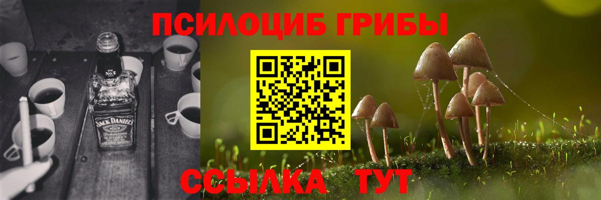 Псилоцибиновые грибы Magic Shrooms  Димитровград  Псилоцибиновые грибы MAGIC MUSHROOMS 